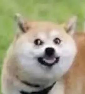 DƬ